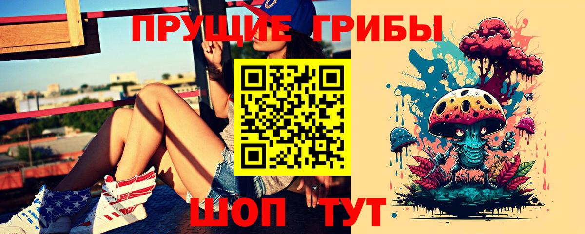 Кизилюрт  Псилоцибиновые грибы Psilocybe  Вход с VPN  Псилоцибиновые грибы Psilocybe 